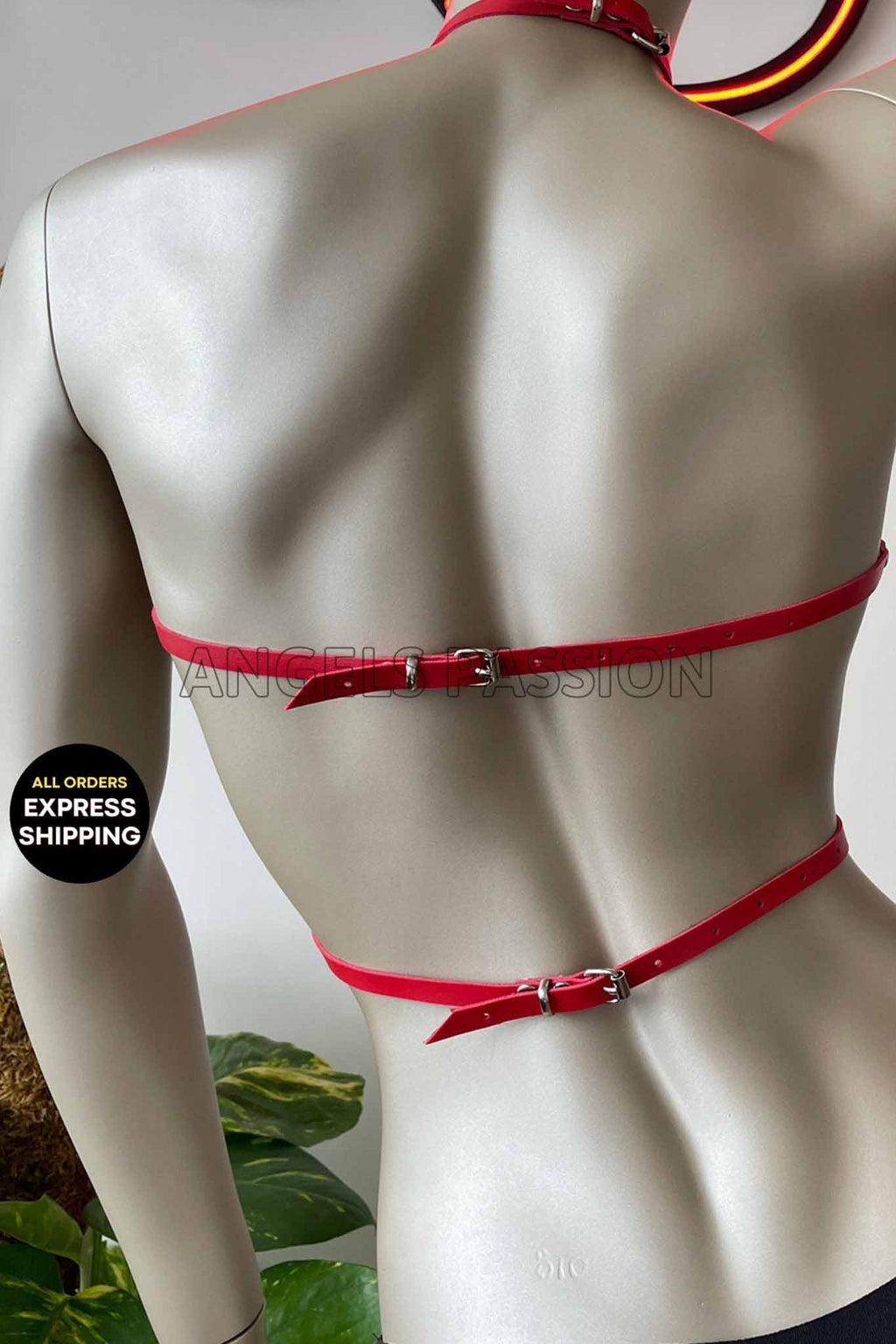 Sexy Open Cup Harness - Xweetdreamx Harlequin IcarusWomen's ClothingHarlequin IcarusXweetdreamx