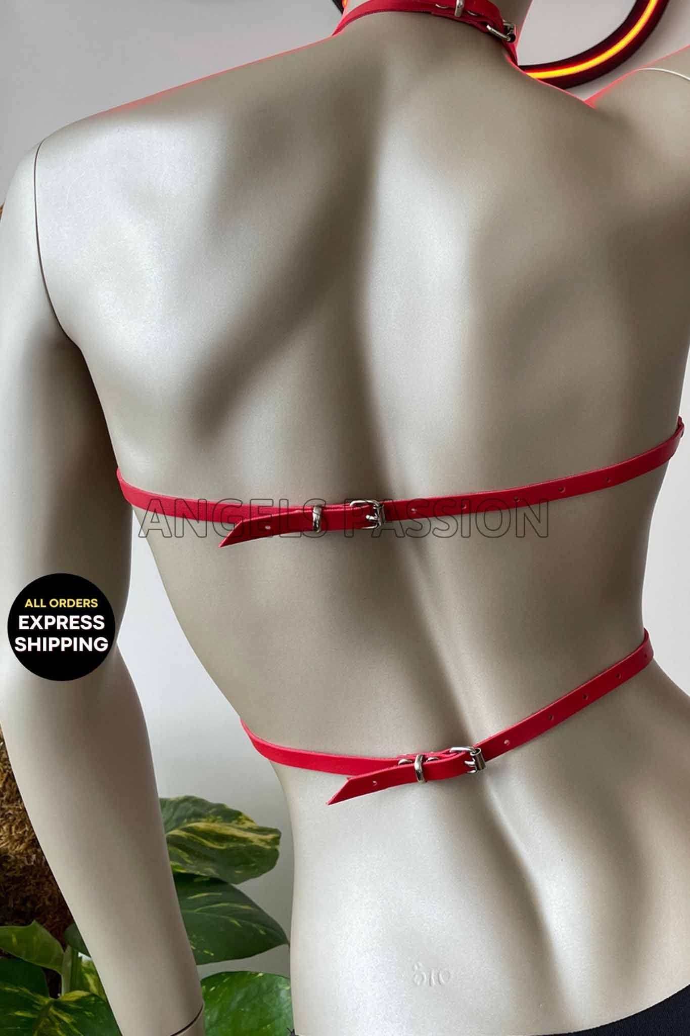 Sexy Open Cup Harness - Xweetdreamx Harlequin IcarusWomen's ClothingHarlequin IcarusXweetdreamx